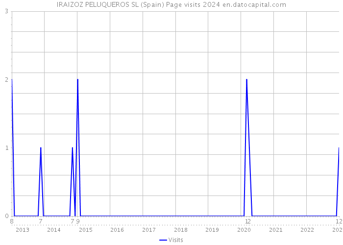 IRAIZOZ PELUQUEROS SL (Spain) Page visits 2024 