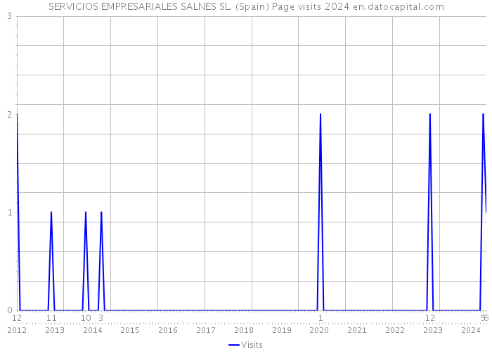 SERVICIOS EMPRESARIALES SALNES SL. (Spain) Page visits 2024 
