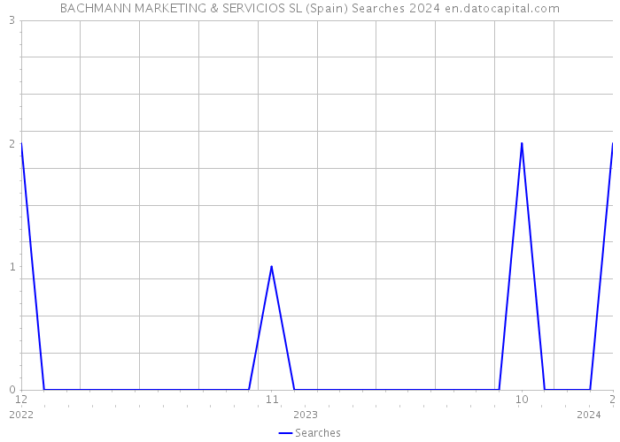 BACHMANN MARKETING & SERVICIOS SL (Spain) Searches 2024 