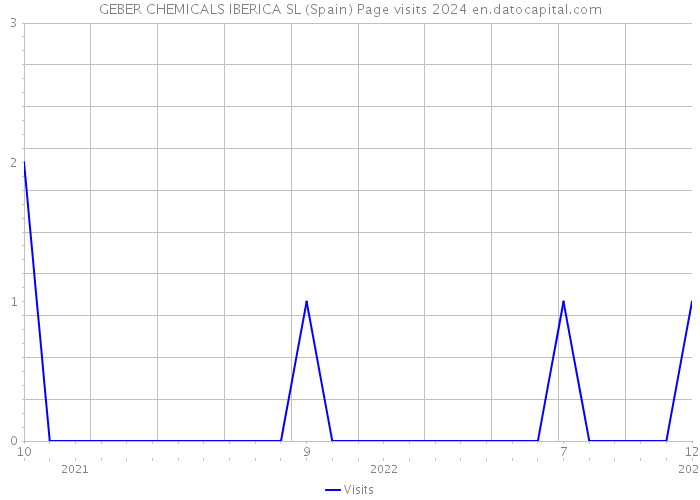 GEBER CHEMICALS IBERICA SL (Spain) Page visits 2024 