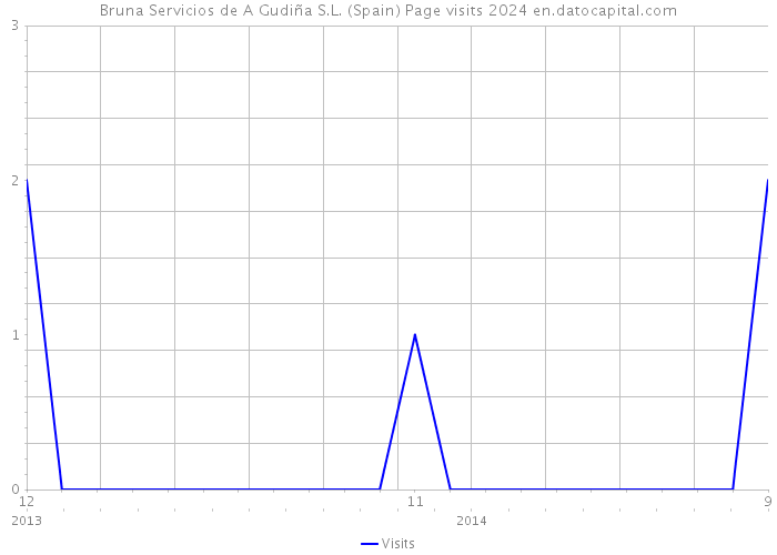 Bruna Servicios de A Gudiña S.L. (Spain) Page visits 2024 