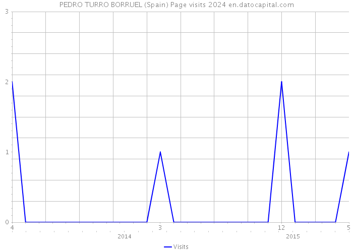 PEDRO TURRO BORRUEL (Spain) Page visits 2024 