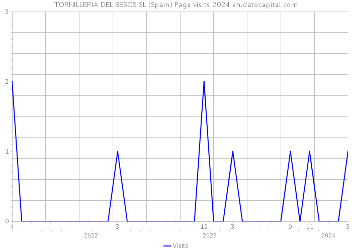 TORNILLERIA DEL BESOS SL (Spain) Page visits 2024 