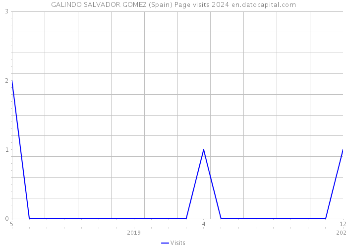 GALINDO SALVADOR GOMEZ (Spain) Page visits 2024 