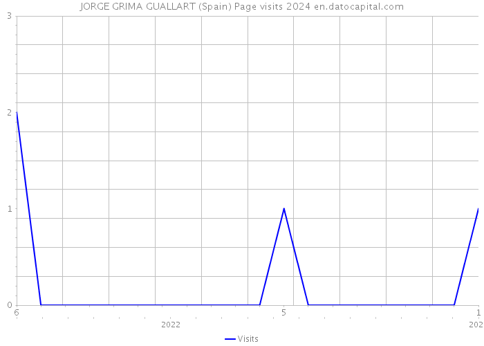 JORGE GRIMA GUALLART (Spain) Page visits 2024 