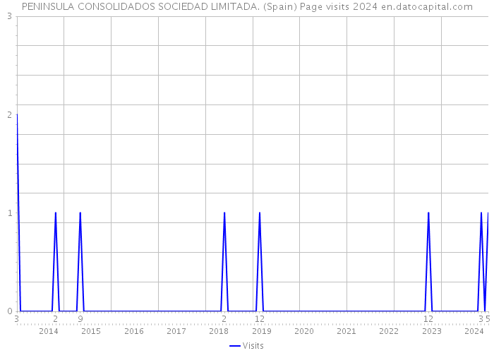 PENINSULA CONSOLIDADOS SOCIEDAD LIMITADA. (Spain) Page visits 2024 
