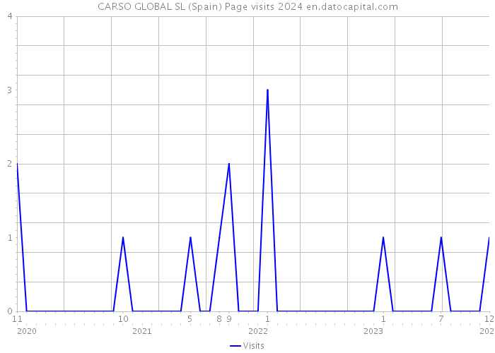 CARSO GLOBAL SL (Spain) Page visits 2024 