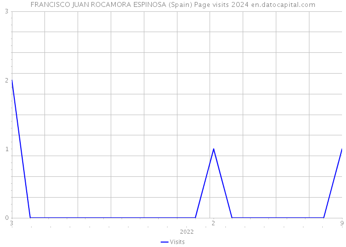 FRANCISCO JUAN ROCAMORA ESPINOSA (Spain) Page visits 2024 