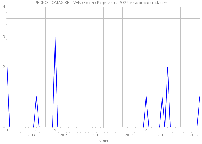 PEDRO TOMAS BELLVER (Spain) Page visits 2024 