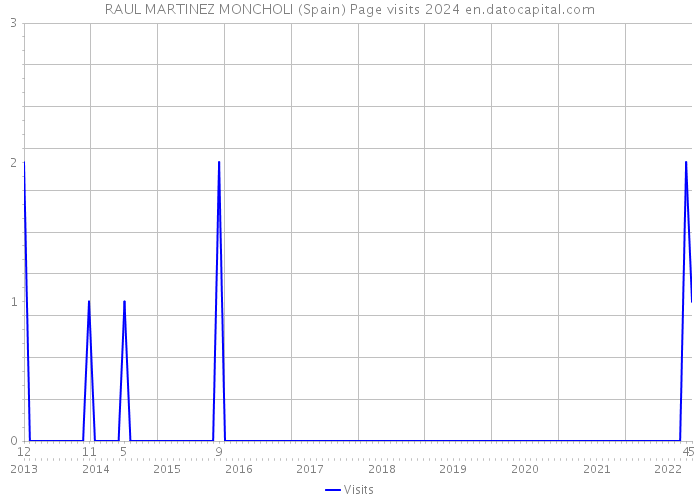 RAUL MARTINEZ MONCHOLI (Spain) Page visits 2024 