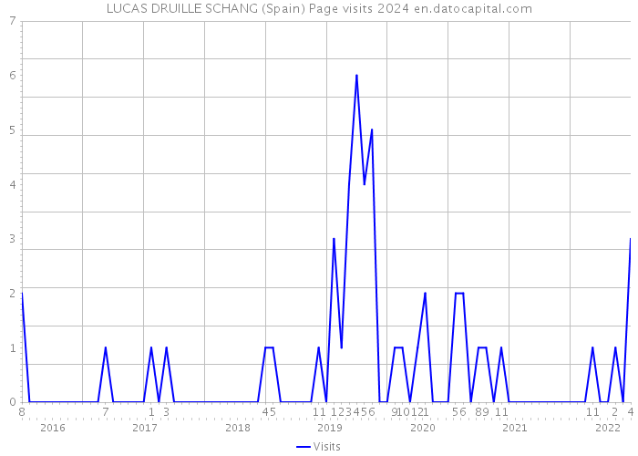LUCAS DRUILLE SCHANG (Spain) Page visits 2024 