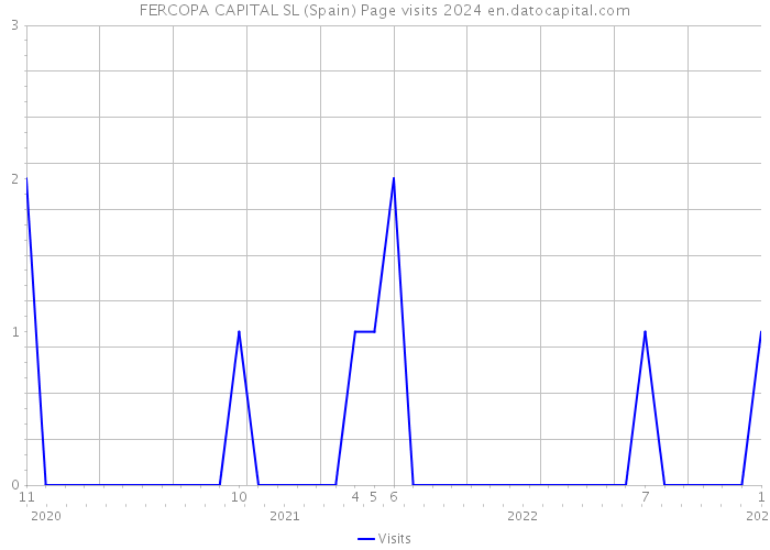 FERCOPA CAPITAL SL (Spain) Page visits 2024 