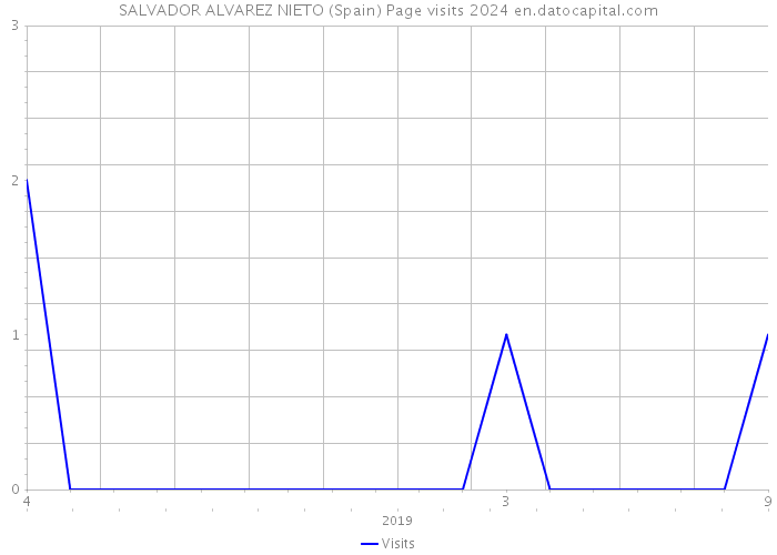 SALVADOR ALVAREZ NIETO (Spain) Page visits 2024 
