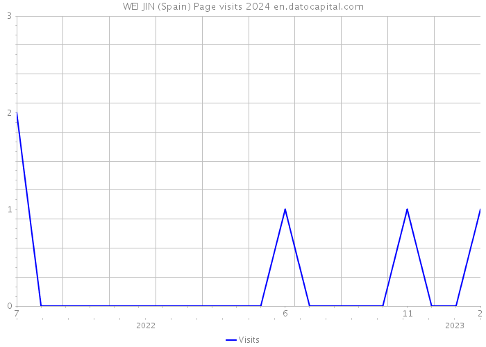 WEI JIN (Spain) Page visits 2024 