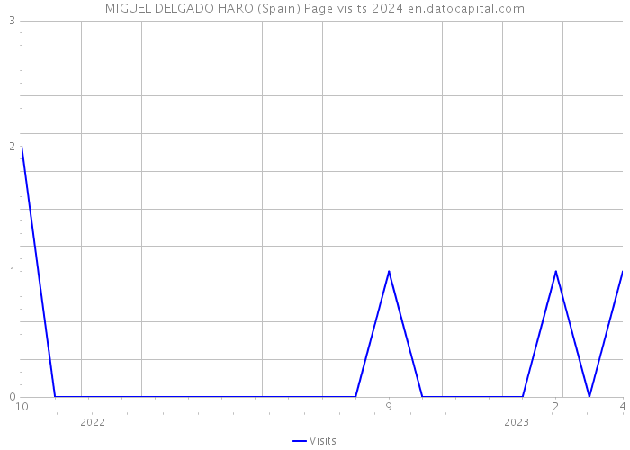 MIGUEL DELGADO HARO (Spain) Page visits 2024 