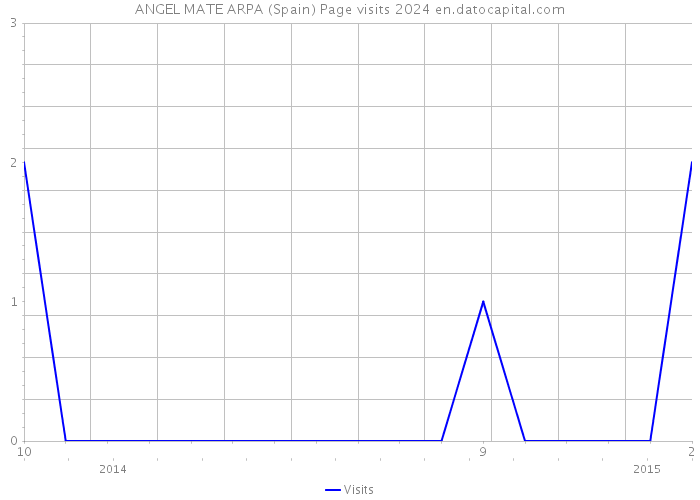ANGEL MATE ARPA (Spain) Page visits 2024 