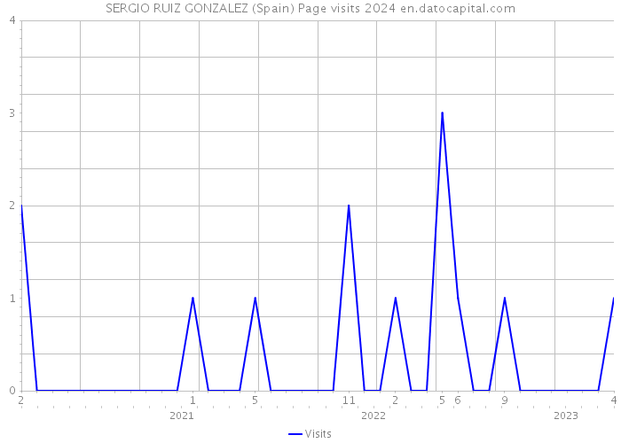SERGIO RUIZ GONZALEZ (Spain) Page visits 2024 