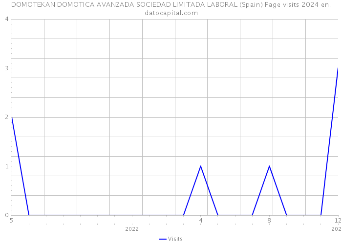DOMOTEKAN DOMOTICA AVANZADA SOCIEDAD LIMITADA LABORAL (Spain) Page visits 2024 