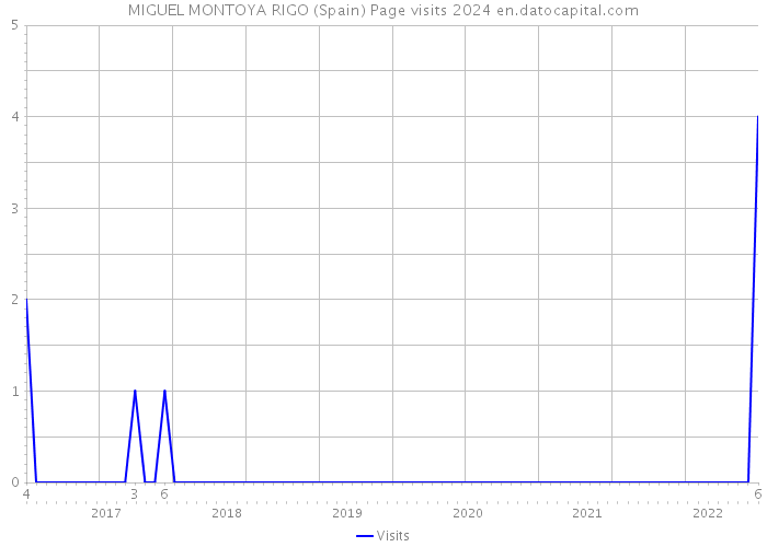 MIGUEL MONTOYA RIGO (Spain) Page visits 2024 