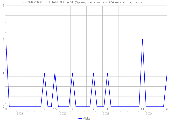 PROMOCION TETUAN DELTA SL (Spain) Page visits 2024 