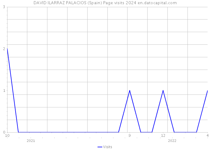 DAVID ILARRAZ PALACIOS (Spain) Page visits 2024 