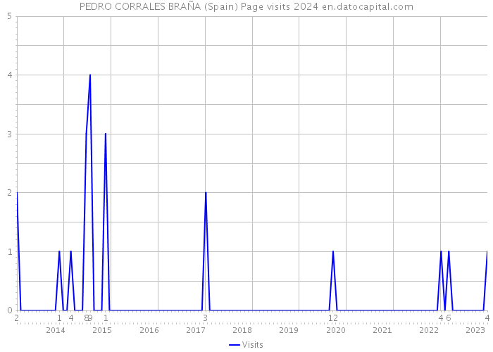 PEDRO CORRALES BRAÑA (Spain) Page visits 2024 