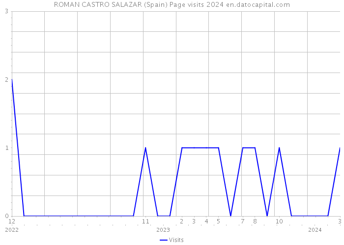ROMAN CASTRO SALAZAR (Spain) Page visits 2024 