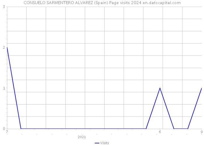 CONSUELO SARMENTERO ALVAREZ (Spain) Page visits 2024 