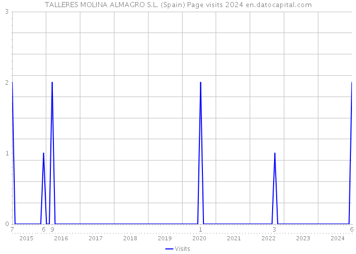 TALLERES MOLINA ALMAGRO S.L. (Spain) Page visits 2024 