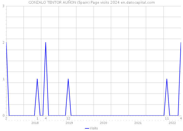 GONZALO TENTOR AUÑON (Spain) Page visits 2024 