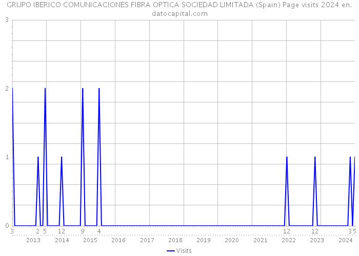 GRUPO IBERICO COMUNICACIONES FIBRA OPTICA SOCIEDAD LIMITADA (Spain) Page visits 2024 