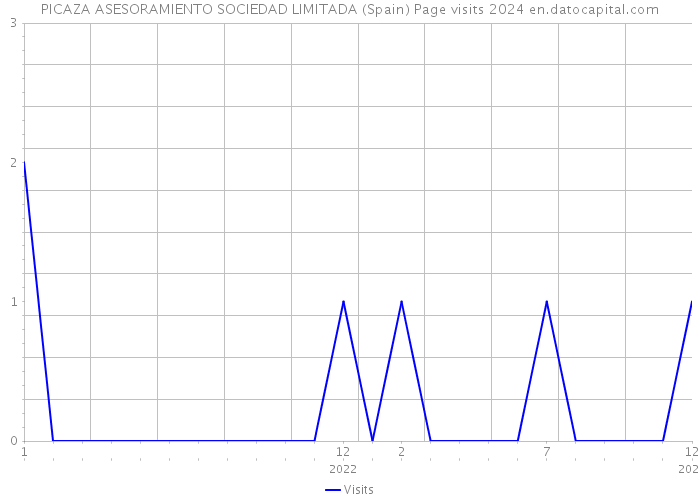 PICAZA ASESORAMIENTO SOCIEDAD LIMITADA (Spain) Page visits 2024 