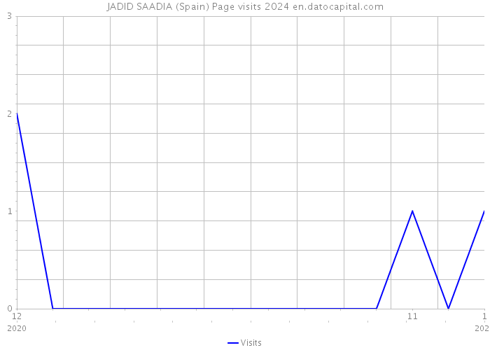 JADID SAADIA (Spain) Page visits 2024 