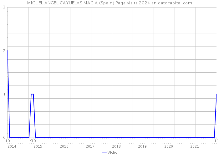 MIGUEL ANGEL CAYUELAS MACIA (Spain) Page visits 2024 