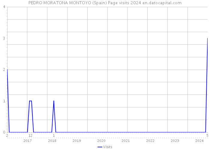 PEDRO MORATONA MONTOYO (Spain) Page visits 2024 