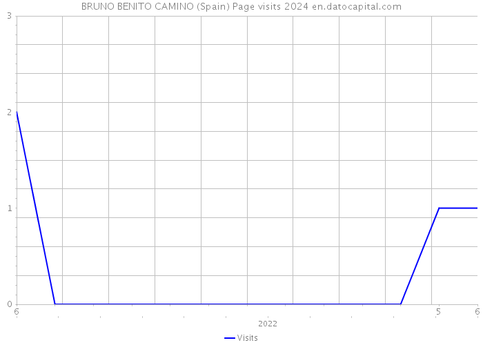 BRUNO BENITO CAMINO (Spain) Page visits 2024 
