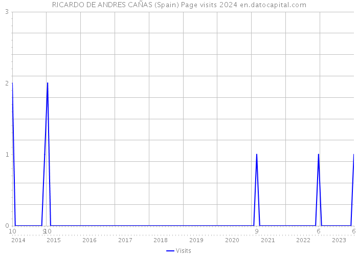 RICARDO DE ANDRES CAÑAS (Spain) Page visits 2024 