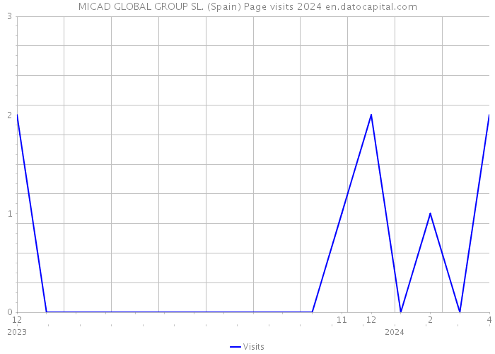 MICAD GLOBAL GROUP SL. (Spain) Page visits 2024 