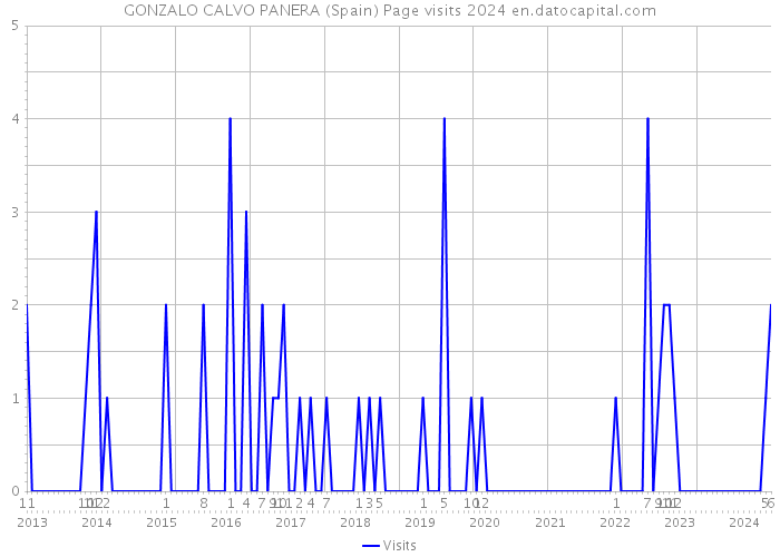 GONZALO CALVO PANERA (Spain) Page visits 2024 
