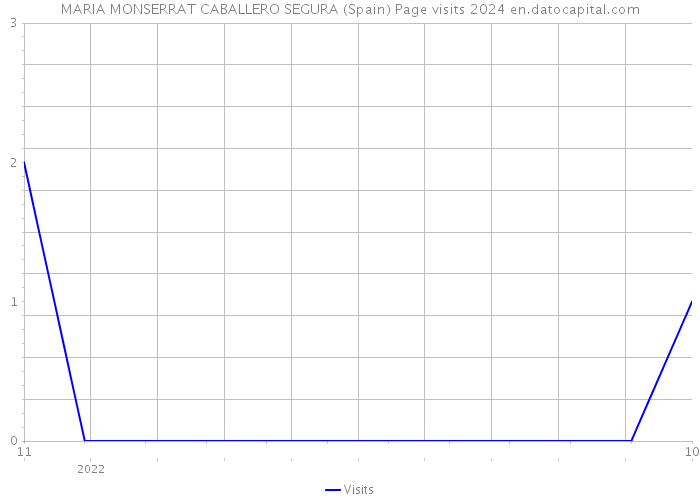 MARIA MONSERRAT CABALLERO SEGURA (Spain) Page visits 2024 