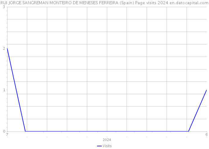 RUI JORGE SANGREMAN MONTEIRO DE MENESES FERREIRA (Spain) Page visits 2024 