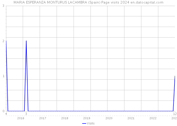 MARIA ESPERANZA MONTURUS LACAMBRA (Spain) Page visits 2024 