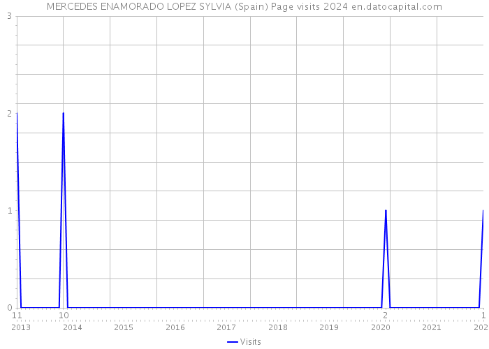 MERCEDES ENAMORADO LOPEZ SYLVIA (Spain) Page visits 2024 