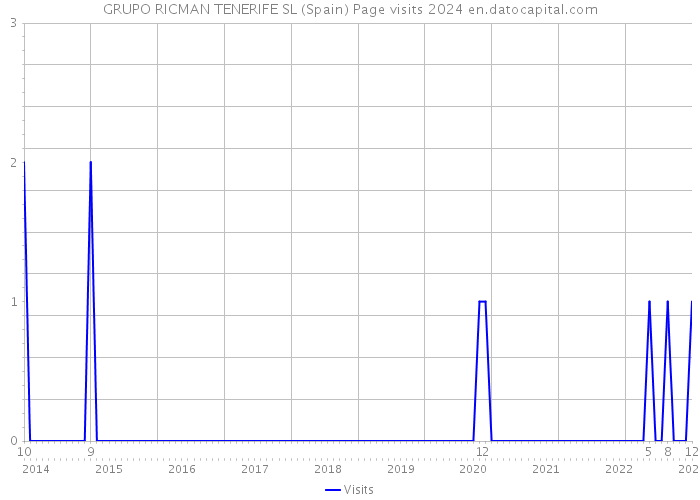 GRUPO RICMAN TENERIFE SL (Spain) Page visits 2024 