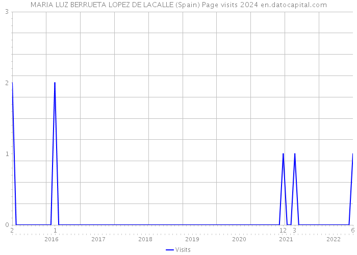 MARIA LUZ BERRUETA LOPEZ DE LACALLE (Spain) Page visits 2024 