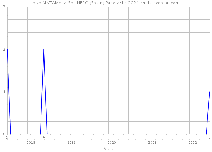 ANA MATAMALA SALINERO (Spain) Page visits 2024 