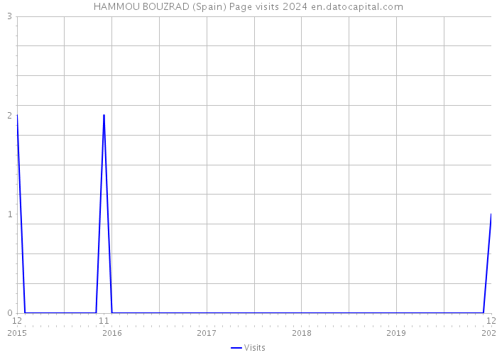 HAMMOU BOUZRAD (Spain) Page visits 2024 