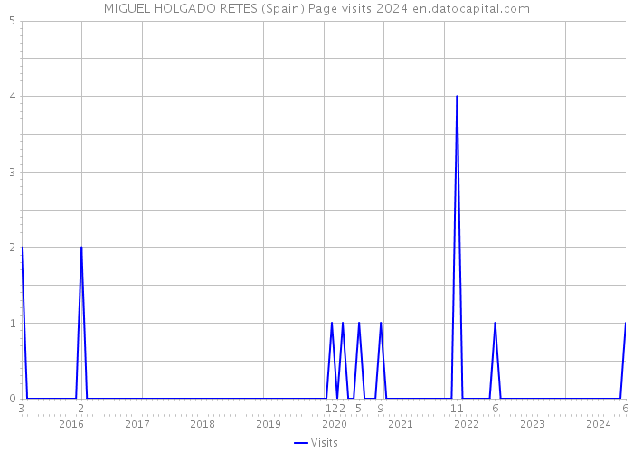 MIGUEL HOLGADO RETES (Spain) Page visits 2024 