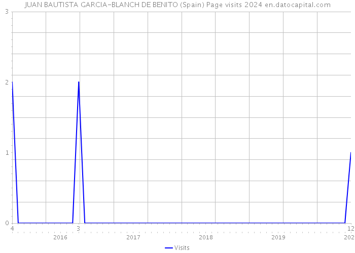 JUAN BAUTISTA GARCIA-BLANCH DE BENITO (Spain) Page visits 2024 