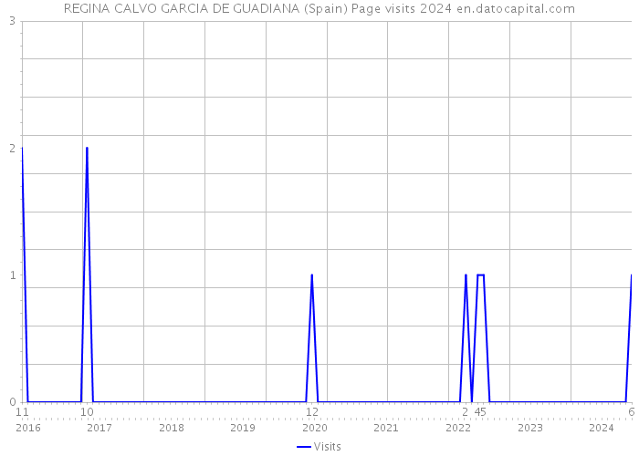 REGINA CALVO GARCIA DE GUADIANA (Spain) Page visits 2024 